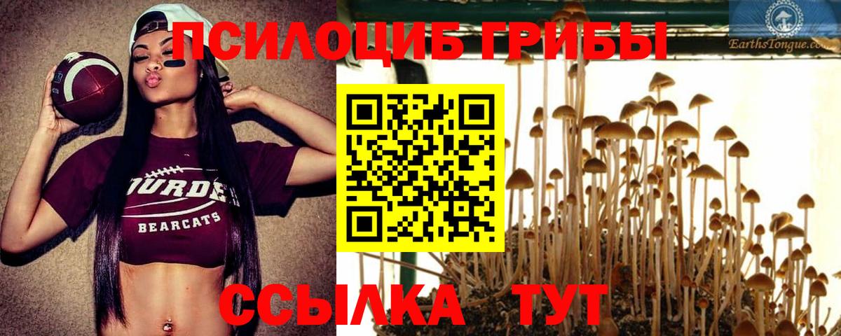 Псилоцибиновые грибы мицелий Киржач
